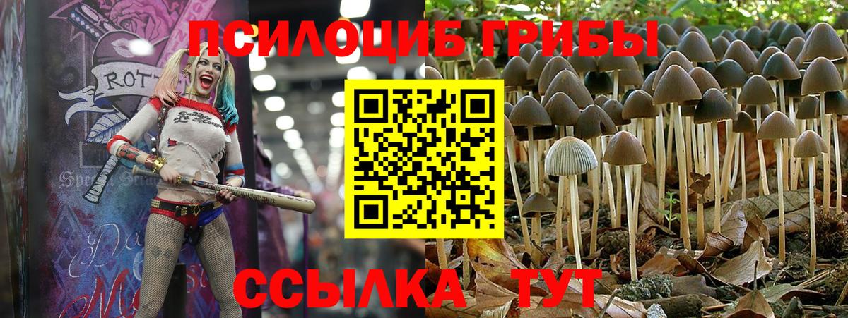Псилоцибиновые грибы GOLDEN TEACHER  Вход с VPN  Губкинский 