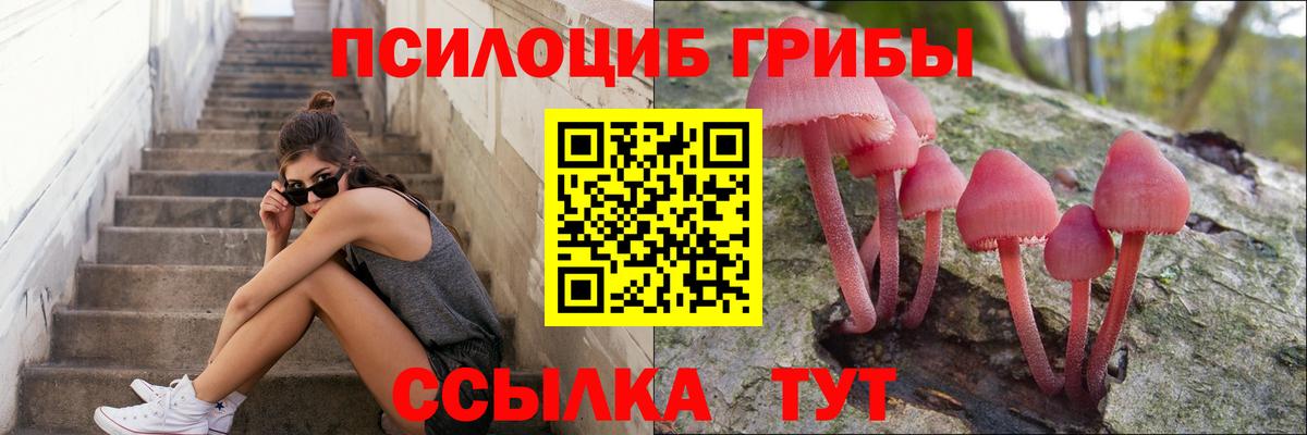 Псилоцибиновые грибы MAGIC MUSHROOMS Губкинский